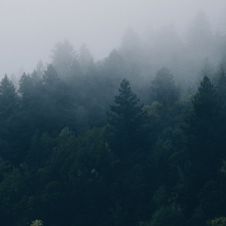 Catalinursu Catalin Github - Gorgeous Landscape Picture - 4K