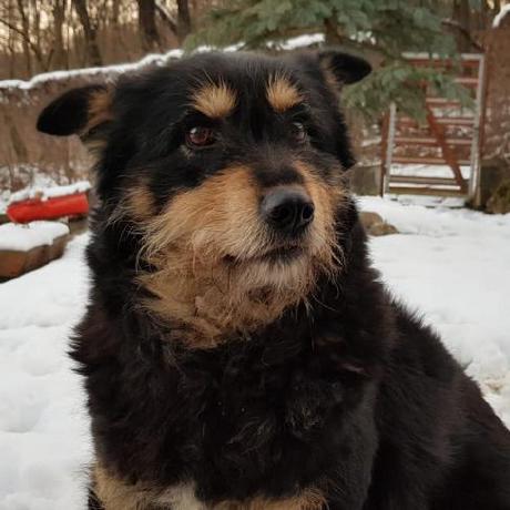 Ioana37 Ioana A Github - Professional Dark Art - Full HD