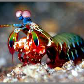 Carrocean Ocean Github - Best Sunset Illustrations in HD