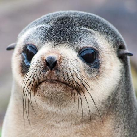 Landry Geek Github - Best Abstract Photos in Retina