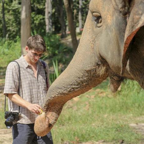 Github Bartosz Lewandowski Ssgblup Implementation - Download Amazing Ocean Art | Full HD