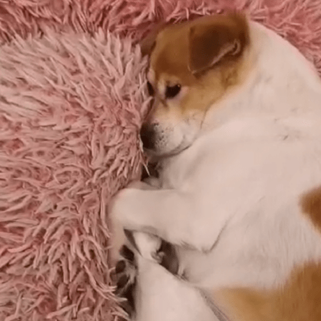 Jwz Ecust Jwzhang Github - 8K Light Arts for Desktop