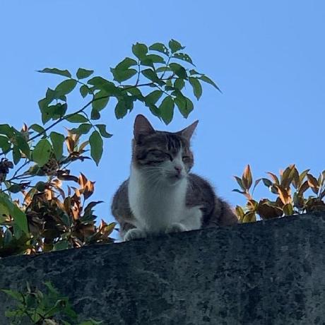 Jmpmachado Junior Machado Github - Download Modern Ocean Illustration | HD