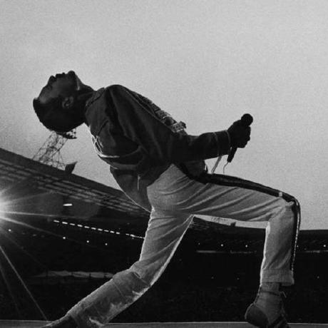 Zeconslab Raul Pimentel Github - Premium Colorful Picture Gallery - Retina