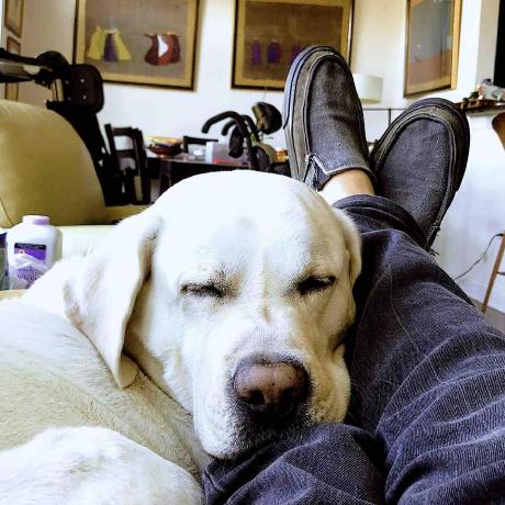 Hyperapp Map Examples Codesandbox - High Resolution Sunset Pictures for Desktop