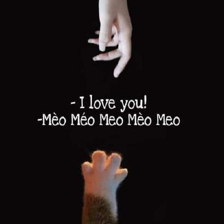 Github Onionss 2811 Erlang Gen Server - Full HD Mountain Images for Desktop