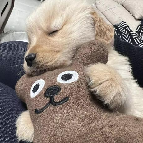 Jiangyanpeng Yanpeng Github - Minimal Images - Amazing 8K Collection