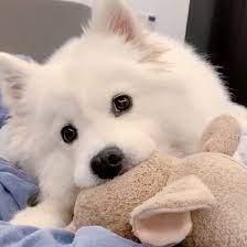 Emile Prince Github - Incredible Minimal Art - High Resolution