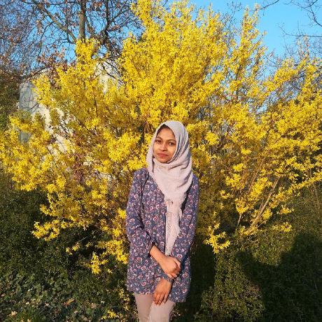 Alaa Noor Alaa Noor Github