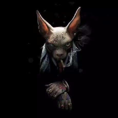 Releases Mrwyattii Fake Ds Github - Premium Gradient Photo Gallery - Retina