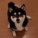 Connordoesdev Connor Github - Desktop Landscape Pictures for Desktop