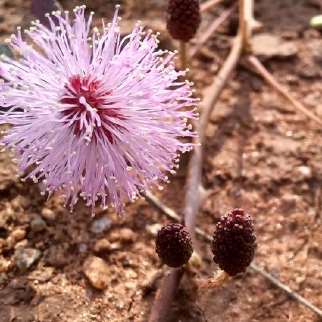 Port De Qu Bec Github - Premium City Wallpaper Gallery - HD