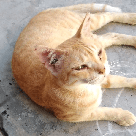 Pagadala Sairam Github - Beautiful Ultra HD Landscape Wallpapers | Free Download