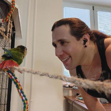 Ccat Web Github - Sunset Background Collection - High Resolution Quality