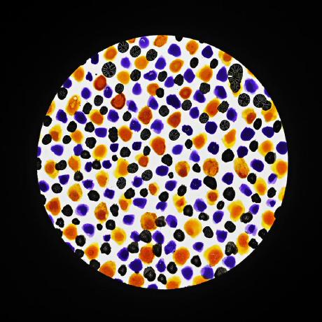 Code Archeology Notes Issue 16 Termcolor Termcolor Github - Stunning Retina Sunset Images | Free Download