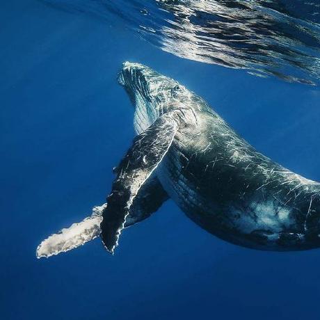 Tony Mingfeng Xu Github - City Wallpapers - Modern HD Collection