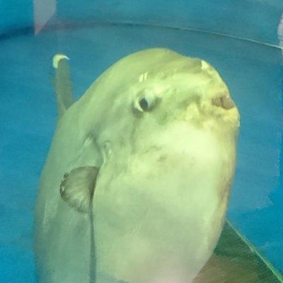 Serizawa Jp Serizawa Github - Space Image Collection - Retina Quality