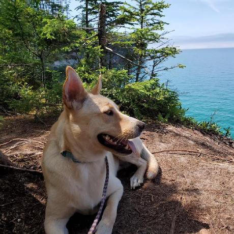 Craigrsteele Craig Steele Github - Premium Geometric Picture Gallery - Mobile