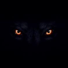 Theo Berkley Github - Incredible High Resolution City Images | Free Download