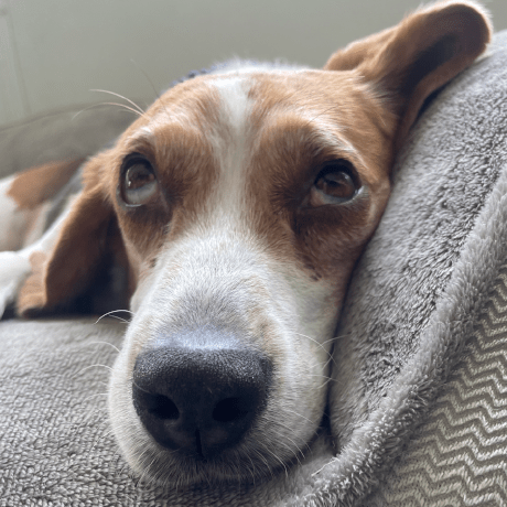 Jessetipton Jesse Tipton Github - Minimal Picture Collection - High Resolution Quality