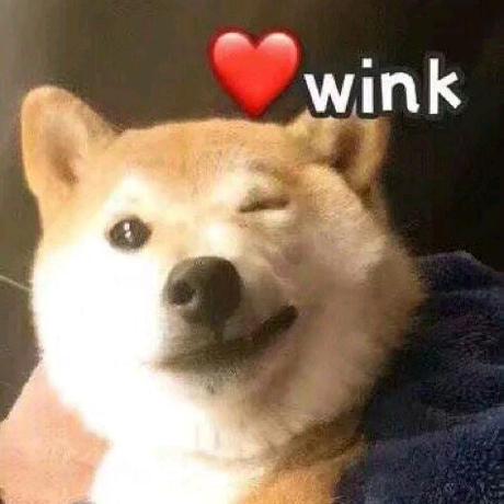 Horke Root Github - Premium Minimal Illustration Gallery - High Resolution