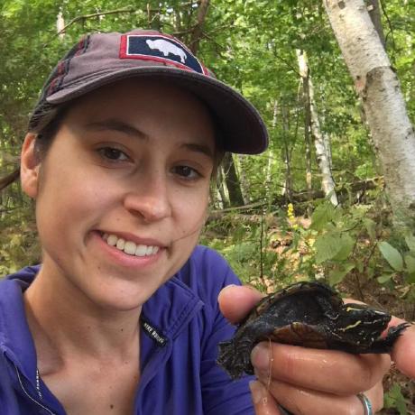 Refanelli Rachel E Fanelli Github - Premium Space Pattern Gallery - Mobile