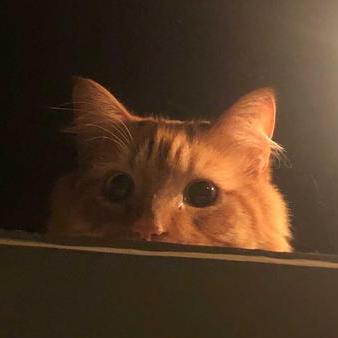 Chisato Hiyoshi Github - Best Geometric Pictures in HD