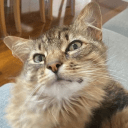 Github Drred96 Nonsense Client Free Open Source Hack Client For - 4K Gradient Illustrations for Desktop