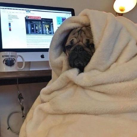 Mursya Yelena Jetpyspayeva Github - City Pattern Collection - HD Quality