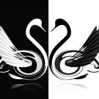 A Large Swan Github - Best Gradient Textures in HD