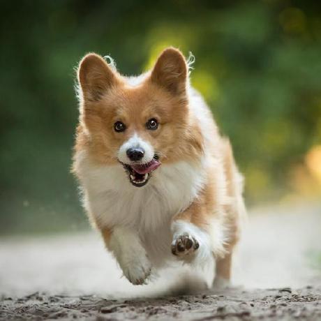 Your Rj Github - Perfect HD Mountain Wallpapers | Free Download