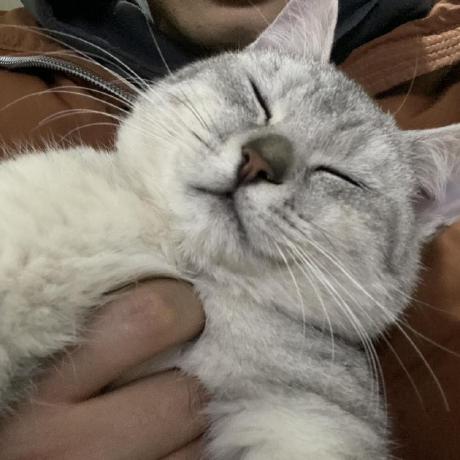 Github Jmmweb Yzy - Landscape Photos - Ultra HD 8K Collection