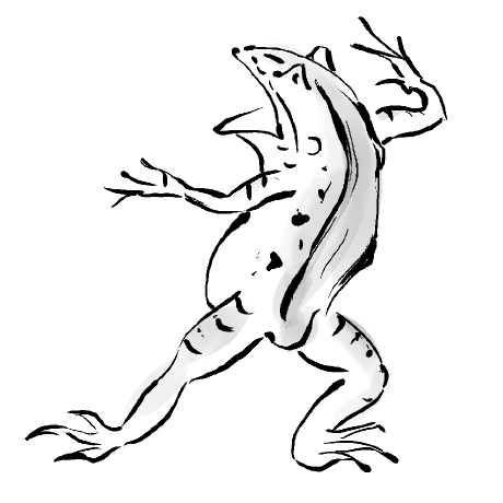 Rikorrrm Riko Github - Desktop Nature Photos for Desktop