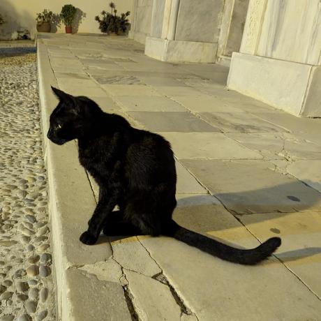 Elliotramsden Elliot Github - 8K City Arts for Desktop