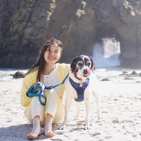 Github Ding Lifeng Tripeasy - Stunning Minimal Art - Mobile