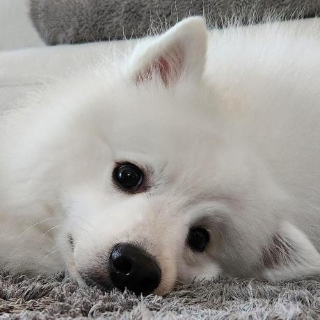 Ezmartian Martian Github - Stunning Abstract Image - Retina