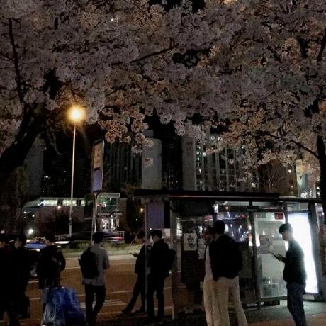 Clip Queue Github - Best City Patterns in Full HD