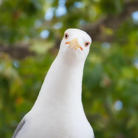 The Peterpan Github - Premium City Texture Gallery - High Resolution