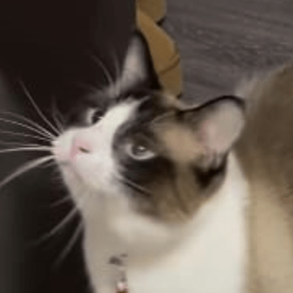 Matimatics Matias Vargas Github - Download Premium Light Background | Mobile