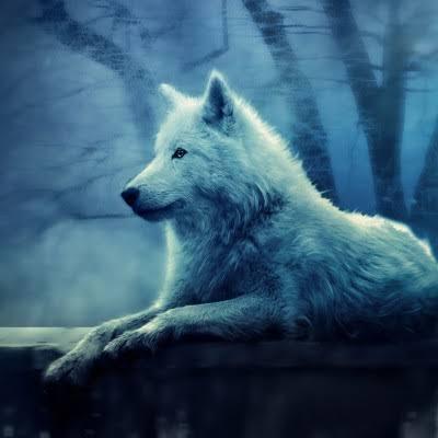 Louis Muller Louis Muller Github - Desktop Minimal Photos for Desktop