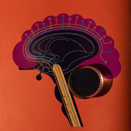 Saito Ryohei Github - Modern 8K Nature Backgrounds | Free Download