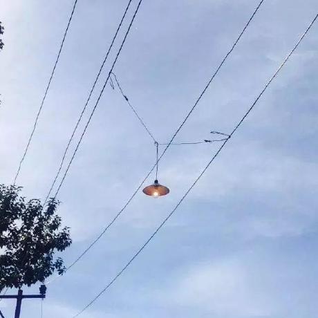 Todor Tsankov Medium - Ultra HD Retina Nature Illustrations | Free Download