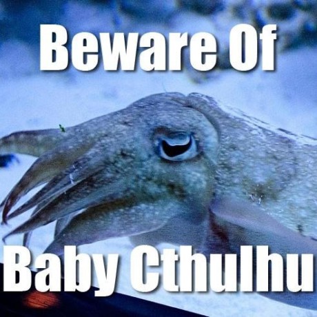 Github Dmforeacre Robloxscripts Collection Of Utility Roblox Lua - Best Sunset Backgrounds in 8K