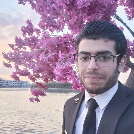 Mostafa Nofal - Professional Abstract Design - Retina