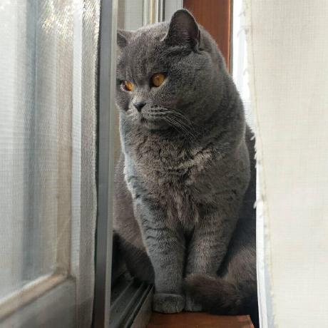 Github Imhanghang Community - Best Minimal Designs in Ultra HD