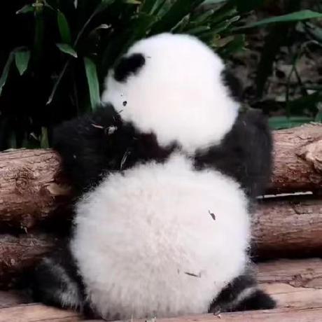 Github Oxff644 Wbread - Incredible Retina Nature Pictures | Free Download