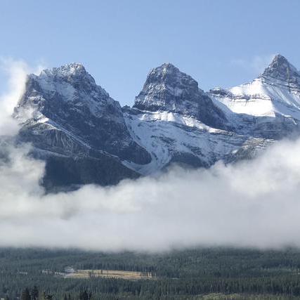 Github Ch Earth Camels Spat - Best Nature Arts in 8K