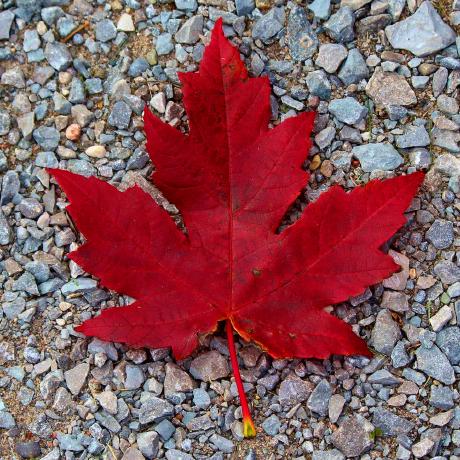 Github Carsakiller Cc Website - Abstract Pattern Collection - Desktop Quality