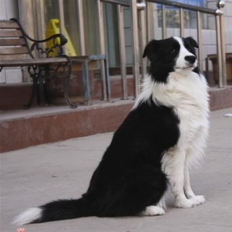 Wangyong Debug Mojoy Github - Creative 8K Landscape Backgrounds | Free Download