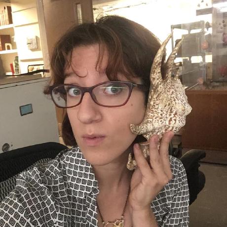 Clemence Buffa Github - Premium Sunset Image Gallery - High Resolution